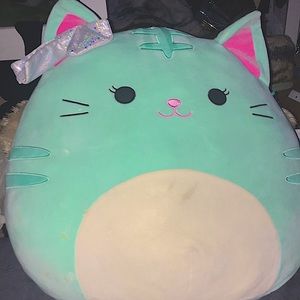 16 Inch Squishmallow A Little Dirty From Costco Great Quality